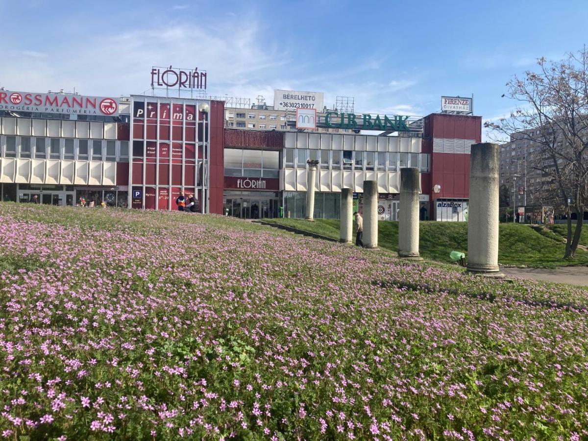 Poppy Flower Apartment ブダペスト エクステリア 写真
